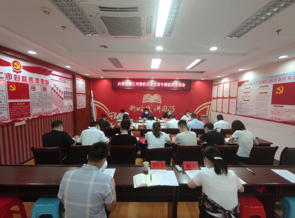 共青团铜仁市委机关党支部召开党史学习教育专题组织生活会