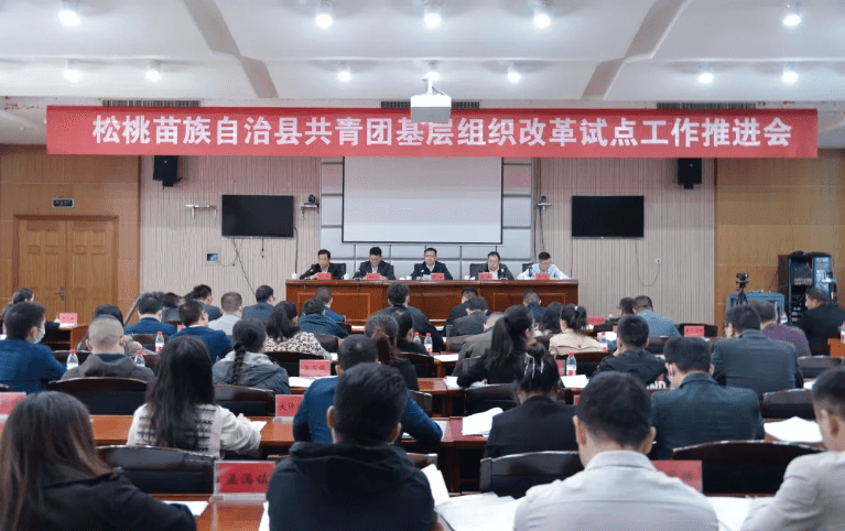 松桃苗族自治县召开共青团基层组织改革试点工作推进会