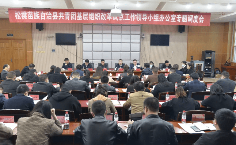 松桃苗族自治县共青团基层组织改革试点工作领导小组办公室召开专题调度会