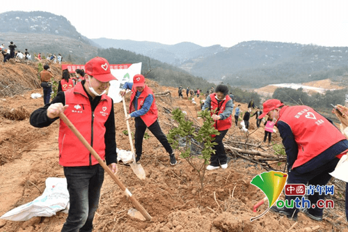 中国青年网 | 铜仁市开展2022年“我为家乡捐棵树·同心共建春晖林”活动