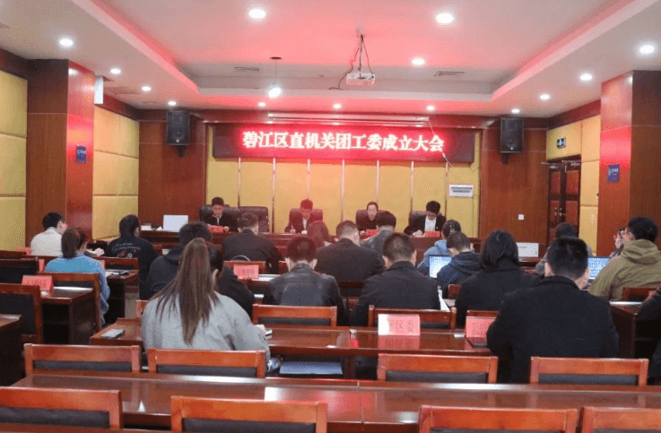 共青团铜仁市碧江区直属机关工作委员会成立大会顺利召开