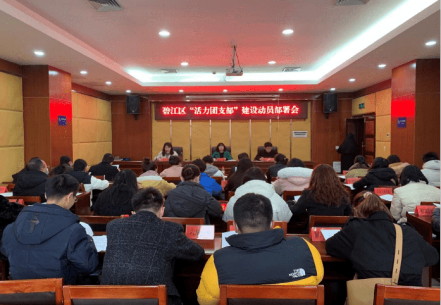 铜仁市各区县团委召开“活力团支部”建设动员部署会