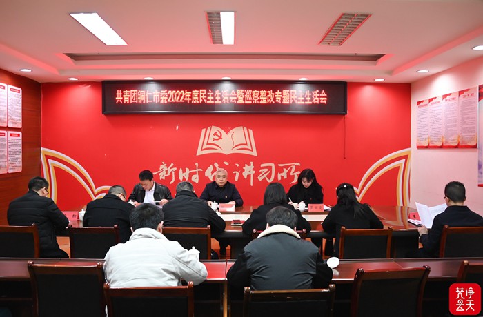 团市委召开2022年度民主生活会暨巡察整改专题民主生活会