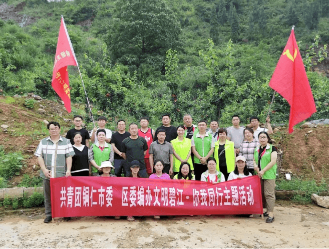 团市委到响塘龙社区开展文明创建主题活动