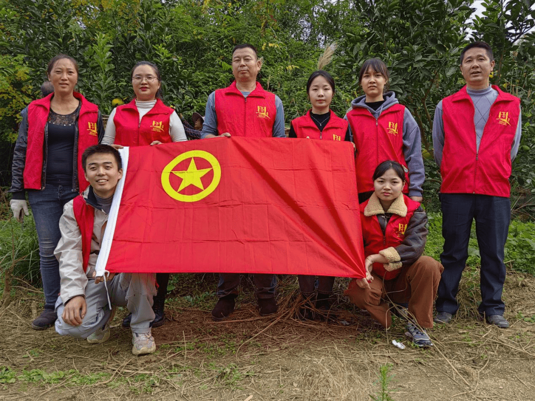 “柚”到丰收季，团团助农忙——邵家桥镇团委开展助农志愿服务活动