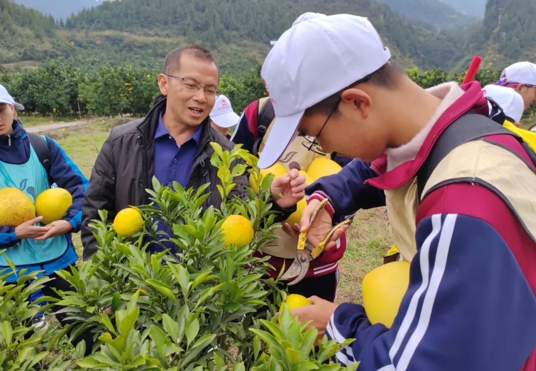 颗颗石榴籽·共筑同心圆——铜仁市青少年铸牢中华民族共同体意识研学活动