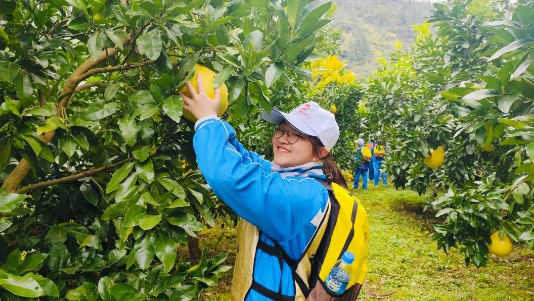 颗颗石榴籽·共筑同心圆——铜仁市青少年铸牢中华民族共同体意识研学活动