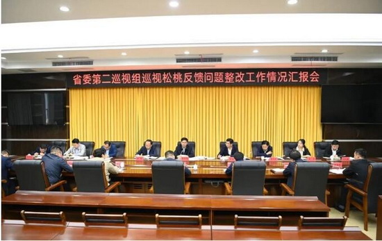 李作勋到松桃苗族自治县调研督导巡视整改工作