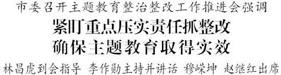 市委召开主题教育整治整改工作推进会