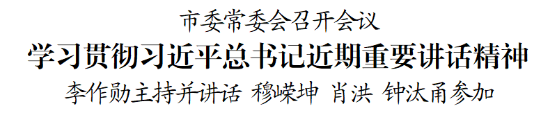 市委常委会召开会议学习贯彻习近平总书记近期重要讲话精神