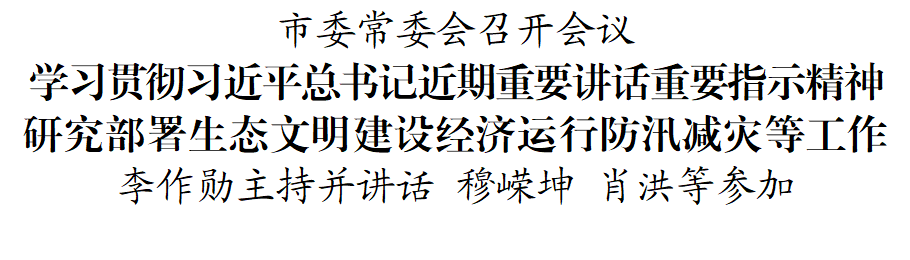 市委常委会召开会议学习贯彻习近平总书记近期重要讲话重要指示精神