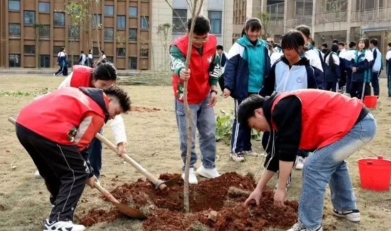 “植”此青绿 共“树”希望 | 我市“我为家乡捐棵树·同心共建春晖林”活动合集！