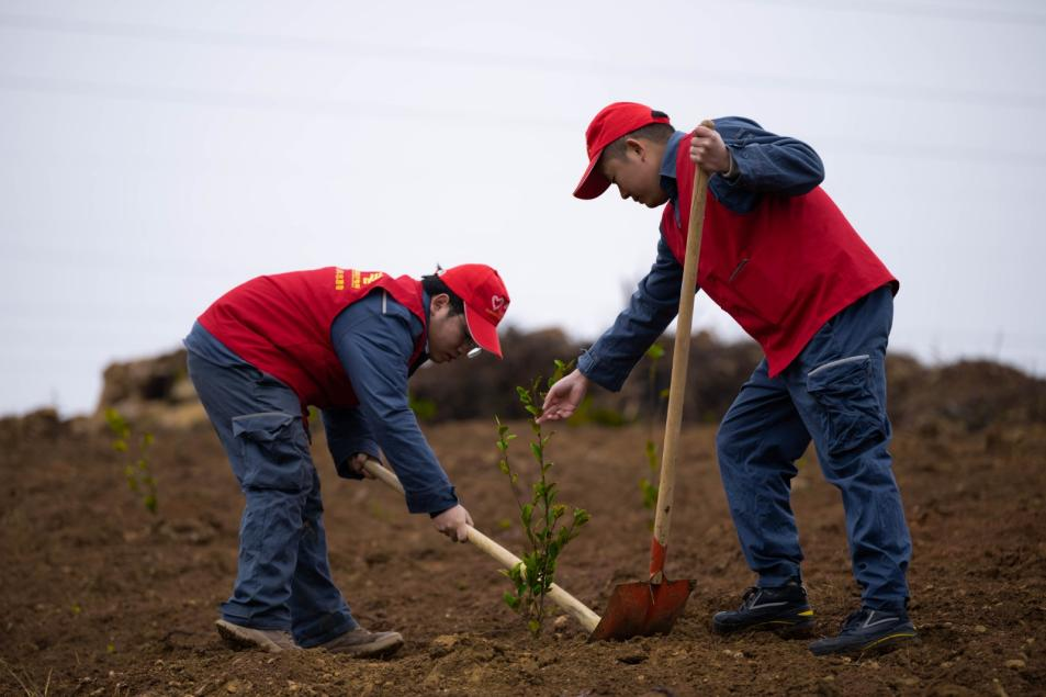 玉屏：开展“我为家乡捐棵树·同心共建春晖林”植树活动