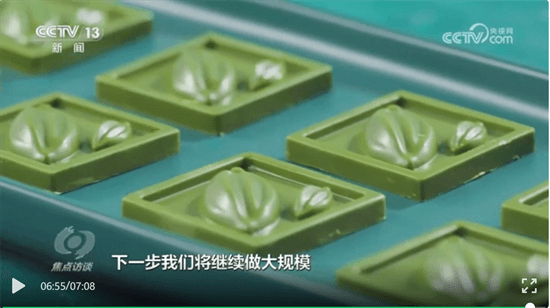 全国第一，全球第二！  央视《焦点访谈》用7分钟报道贵州抹茶