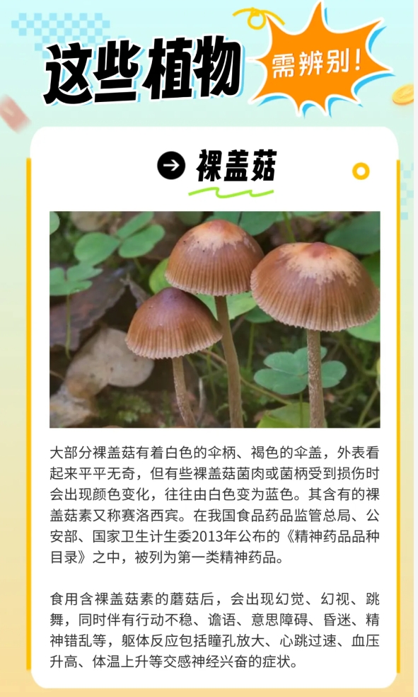 炎炎夏日生存指南，这些“毒”雷千万别踩