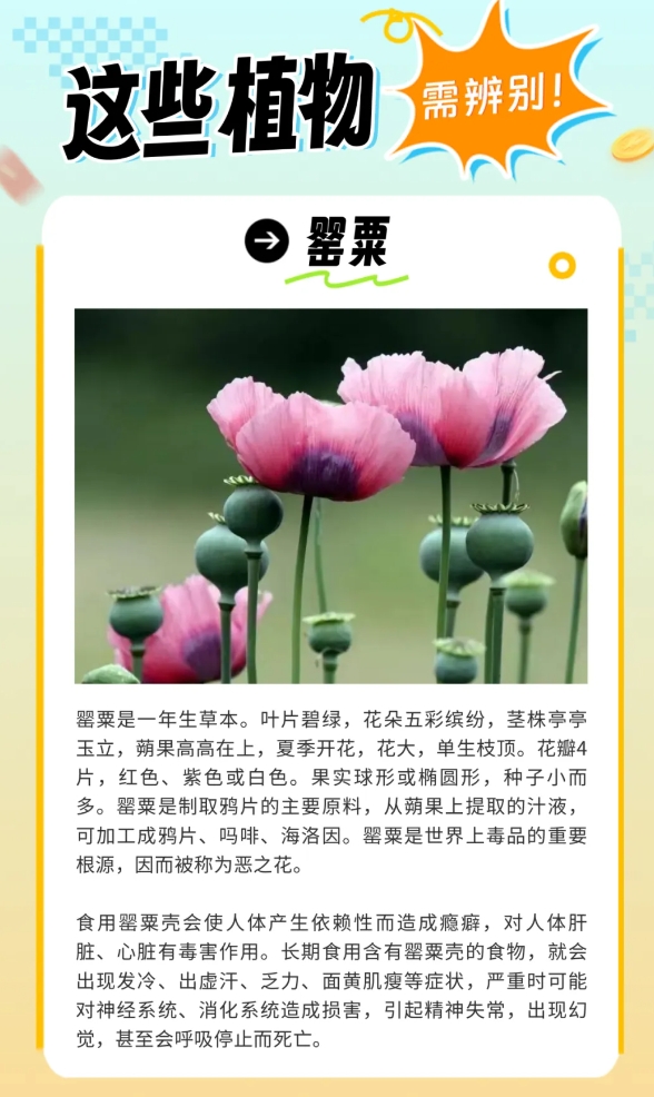 炎炎夏日生存指南，这些“毒”雷千万别踩