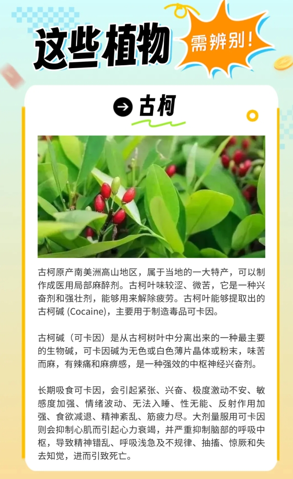 炎炎夏日生存指南，这些“毒”雷千万别踩