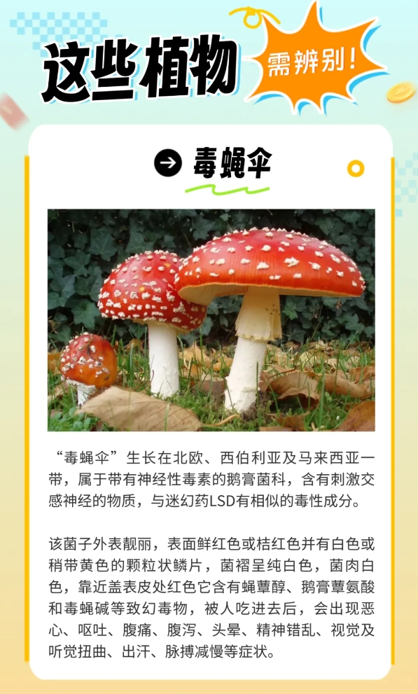 炎炎夏日生存指南，这些“毒”雷千万别踩