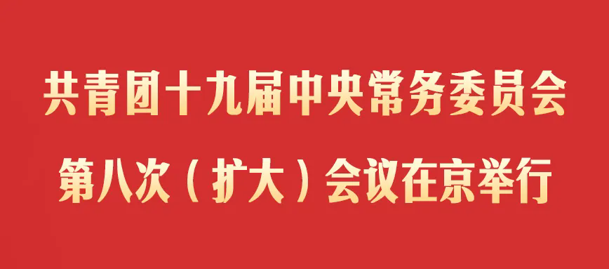 共青团十九届中央常务委员会第八次（扩大）会议在京举行